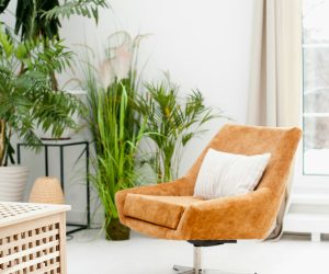 cozy-eco-boho-cozy-brown-chair-interior-design-working-from-home-interior-design-potted-plants.jpg